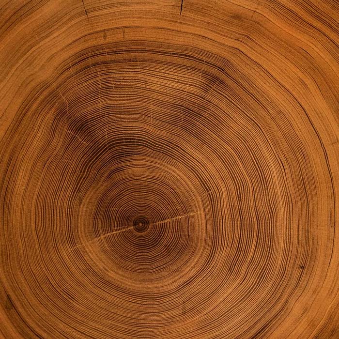 Wooden Doors and Windows in Kerala,Best wooden doors and windows in Kerala,Wooden doors and windows Kerala,Best Wood Company Kerala, Wood company in Kerala,Wood company Kerala,top wood company in Kannur,Best Wood Company in Kannur, Wood Company in Kannur,Top Wood Company in Kannur, Wood companies in Kannur,Wood flooring services in Kannur