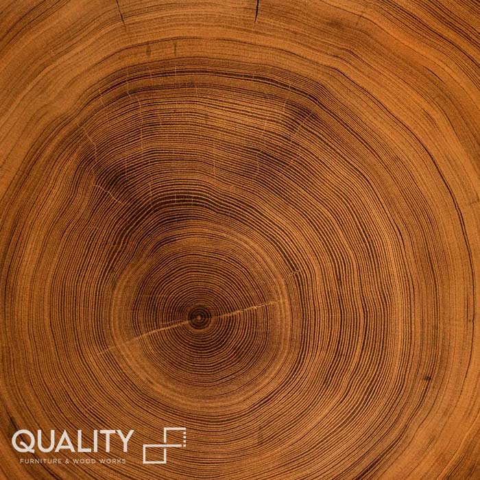 Best Wood Company in Kerala,Best Wooden Doors Manufacturers in Kerala,Best Wooden Windows in Kerala,Best Wooden door dealers in Kerala,Wood paneling services in Kannur